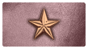 DSC700 430 BZ OR Star Bronze Orchid